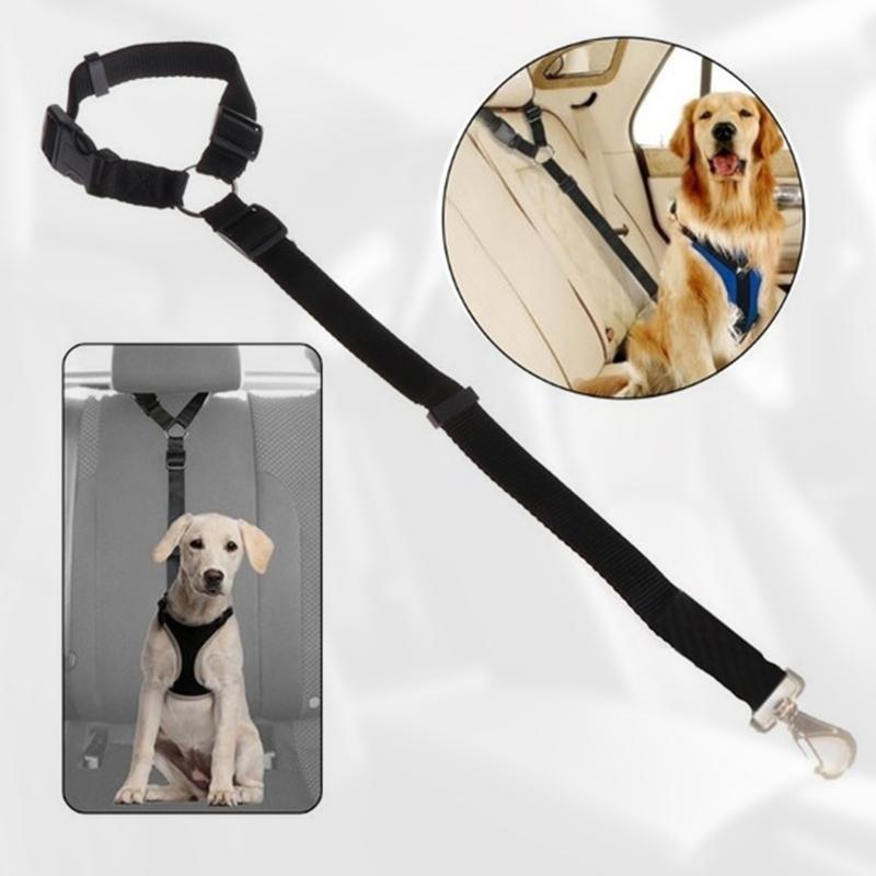 Adjustable Car Dog Leash - TrenLit