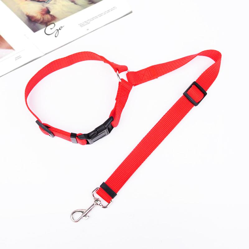 Adjustable Car Dog Leash - TrenLit