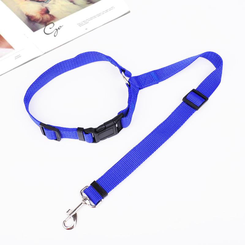 Adjustable Car Dog Leash - TrenLit