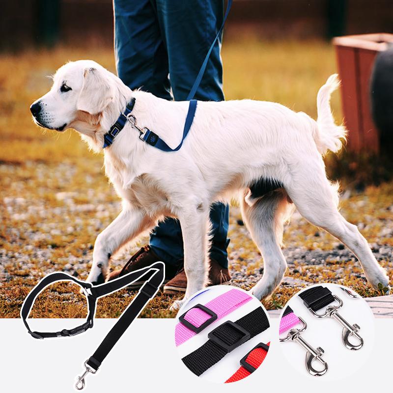 Adjustable Car Dog Leash - TrenLit