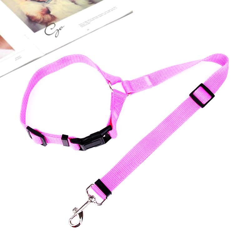 Adjustable Car Dog Leash - TrenLit