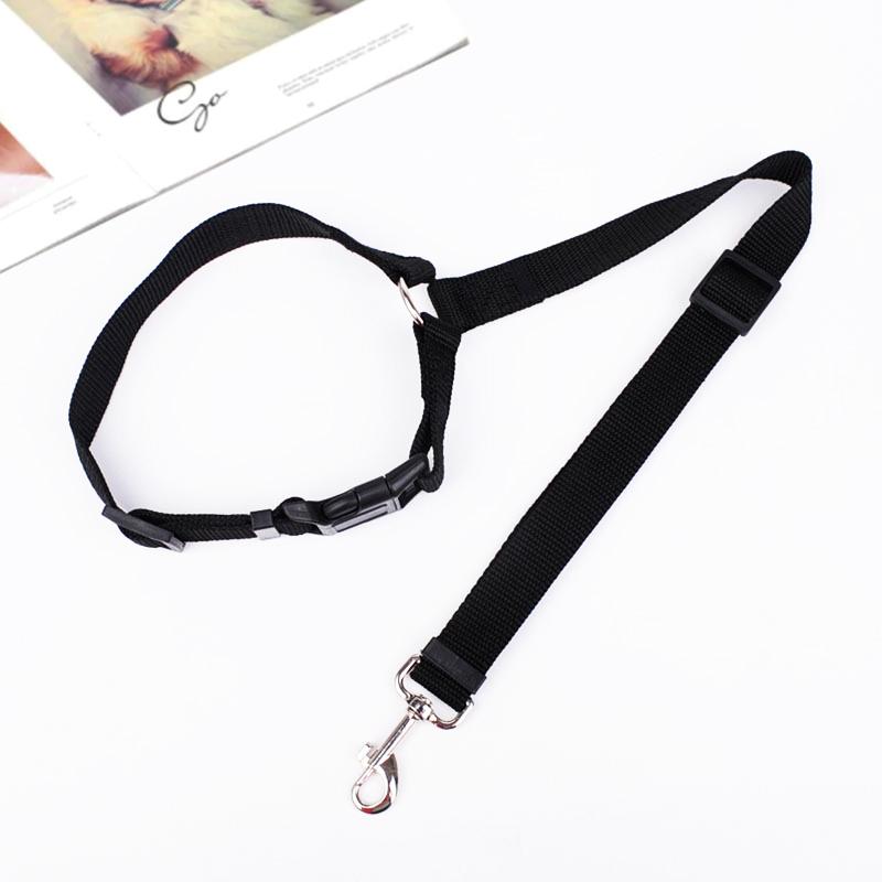 Adjustable Car Dog Leash - TrenLit