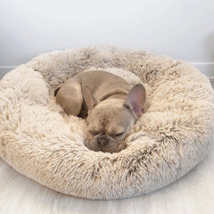 Anti-Anxiety Calming Bed For Dogs - TrenLit