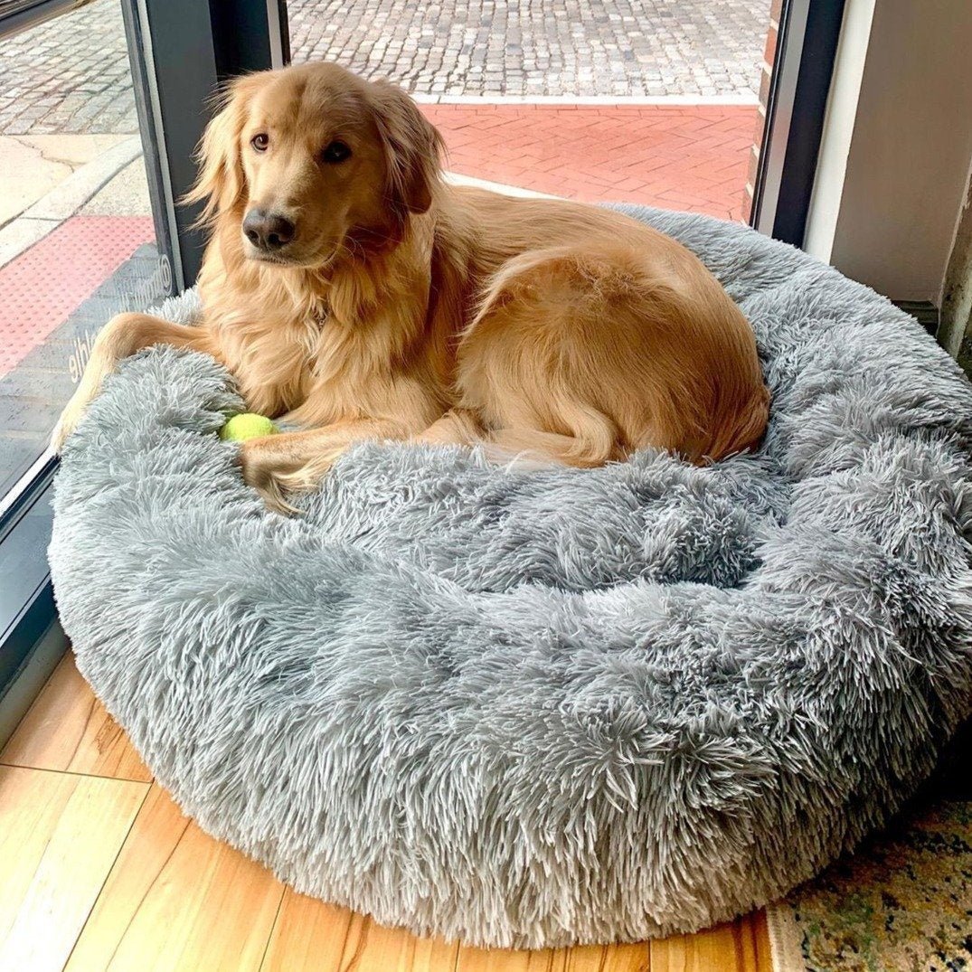 Anti-Anxiety Calming Bed For Dogs - TrenLit