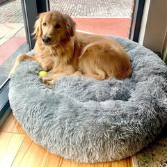 Anti-Anxiety Calming Bed For Dogs - TrenLit