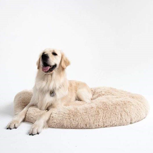 Anti-Anxiety Calming Bed For Dogs - TrenLit