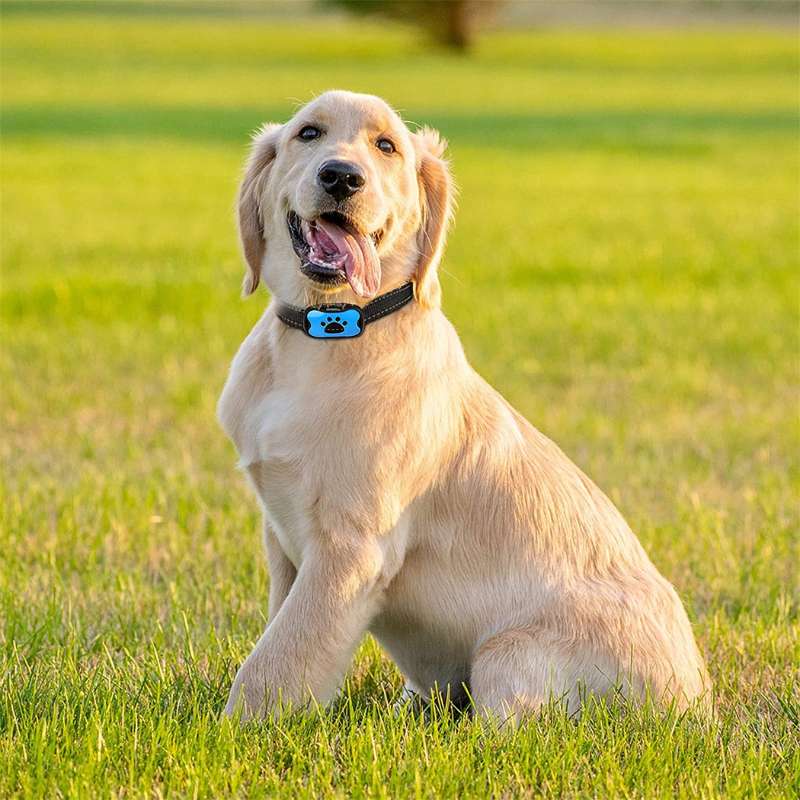 Anti-Bark Collar - TrenLit