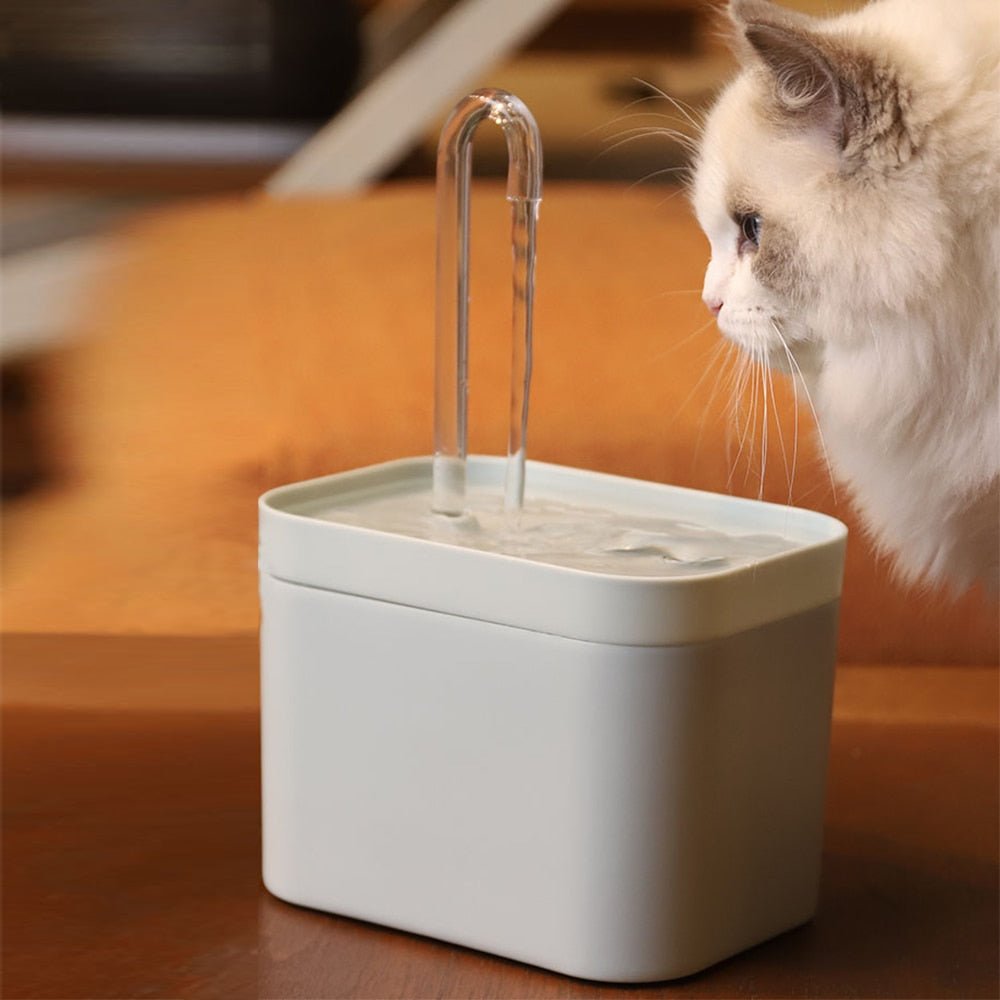 Cat Electric Water Dispenser Fountain - TrenLit