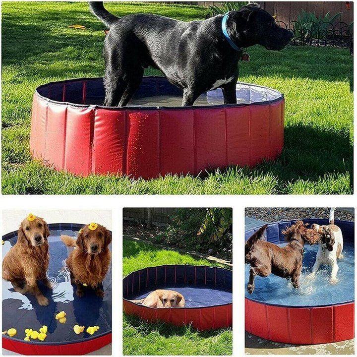 Dog Swimming Pool - TrenLit