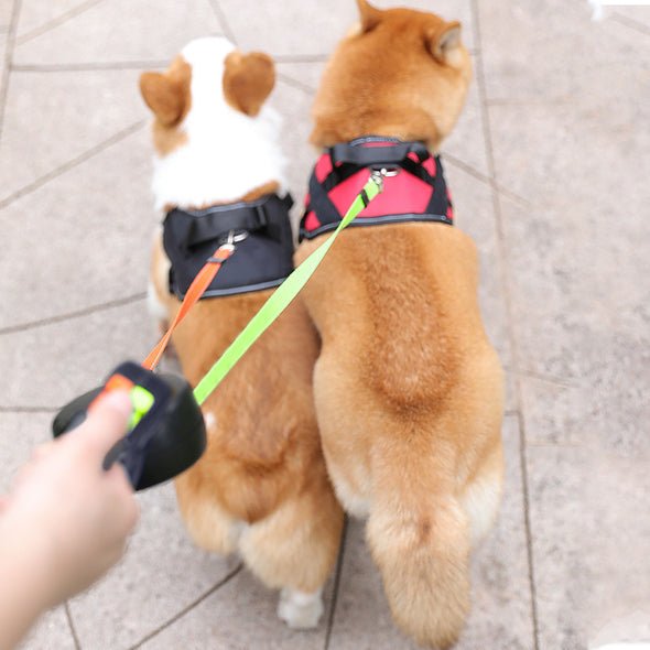 Double Dog Leash - TrenLit