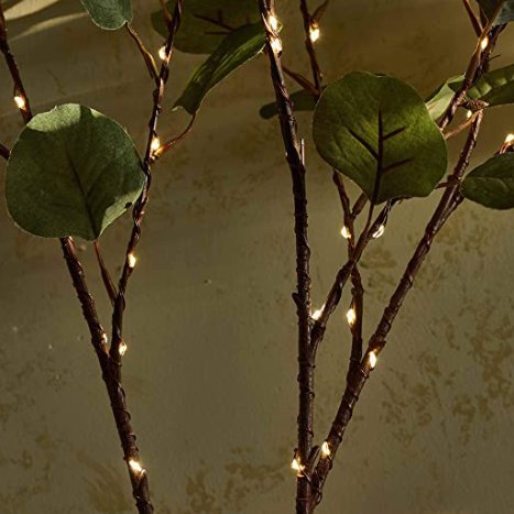 EnchantWillow™ Enchanted Branches - TrenLit