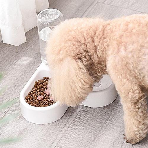 Feeding & Hydratation Station For Pets - TrenLit