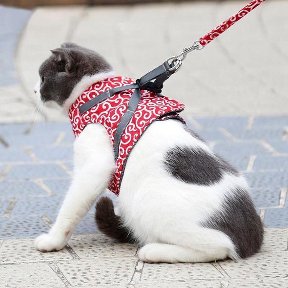 Feline Freedom Harness & Leash Set - TrenLit