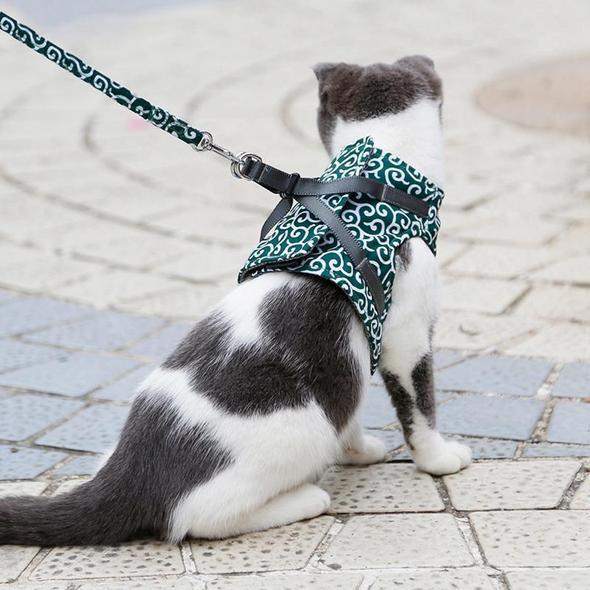 Feline Freedom Harness & Leash Set - TrenLit