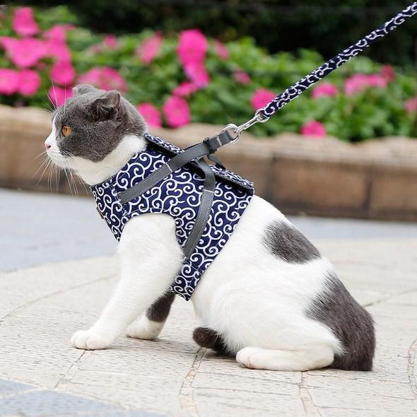 Feline Freedom Harness & Leash Set - TrenLit