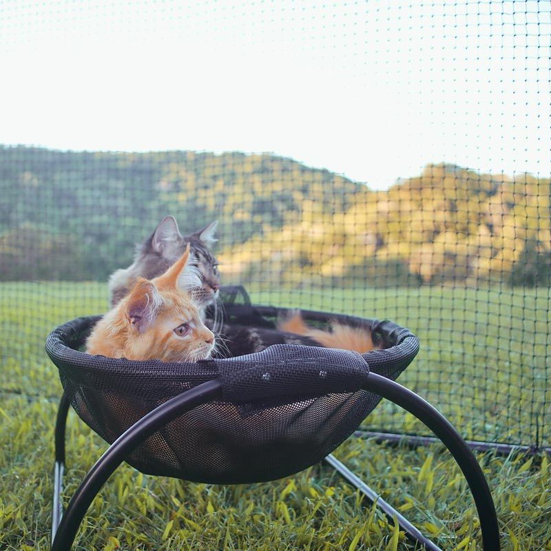 Floor Cat Hammock – With Stand - TrenLit