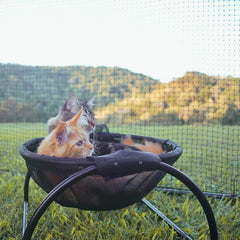 Floor Cat Hammock – With Stand - TrenLit