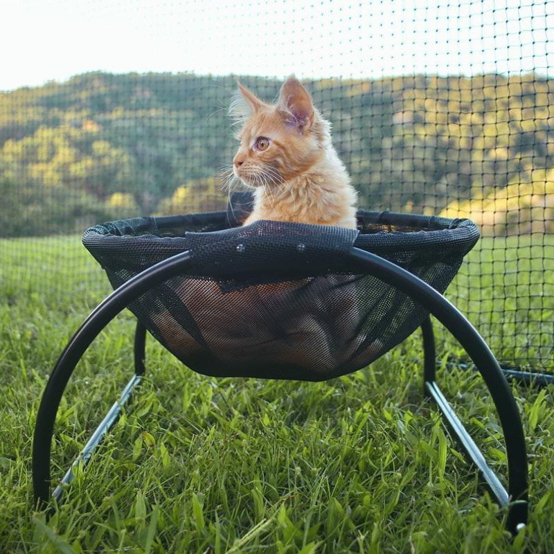 Floor Cat Hammock – With Stand - TrenLit