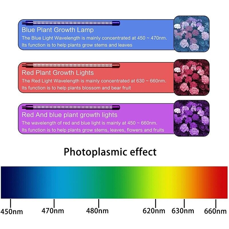 LED Plant Grow Light - TrenLit