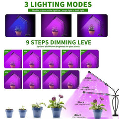 LED Plant Grow Light - TrenLit