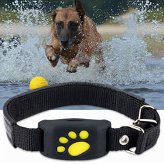 Pet Tracker GPS - TrenLit