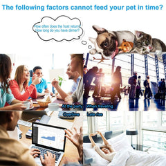 Remote Monitoring Pet Feeder - TrenLit