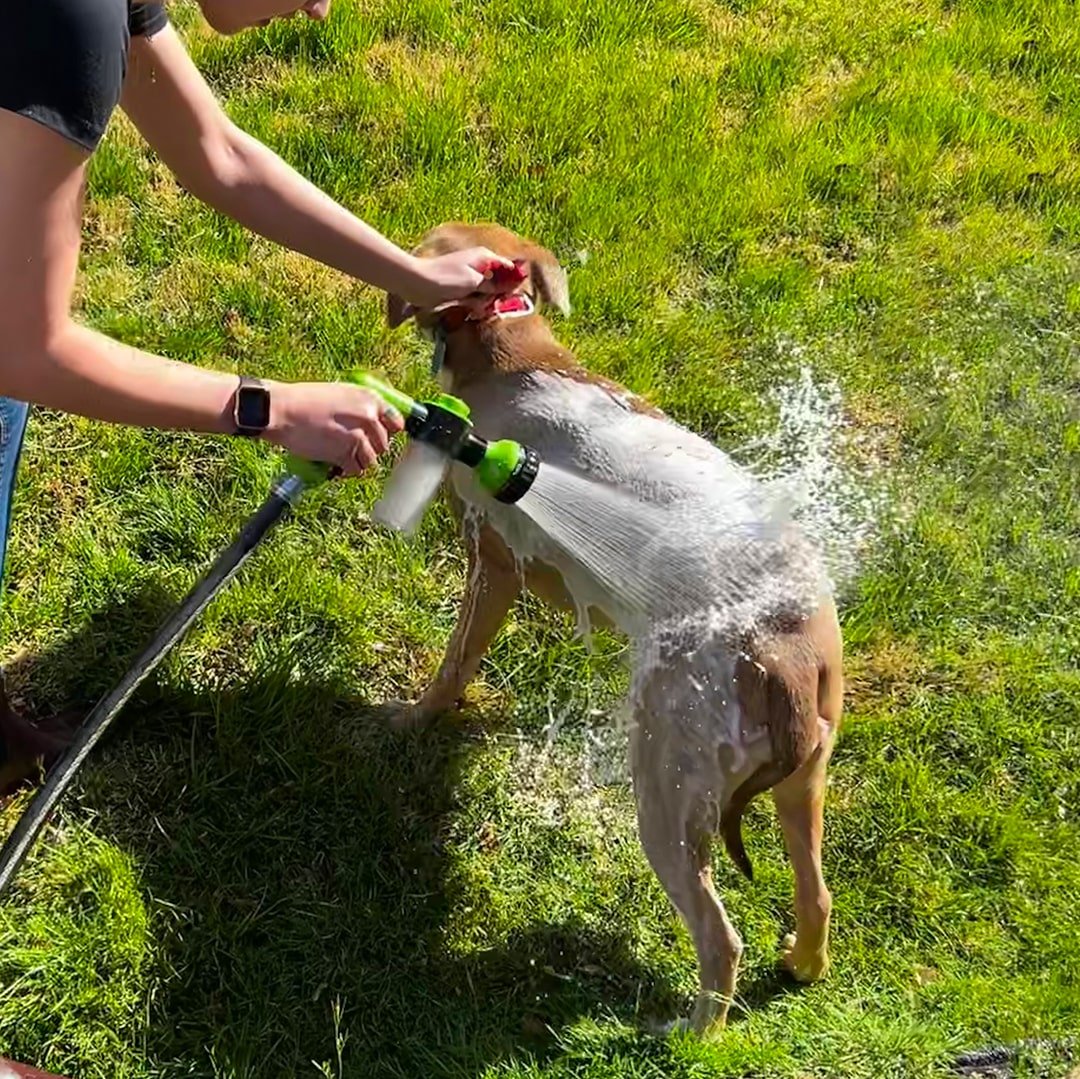 WashGun™ - The Ultimate Doggy Shower - TrenLit